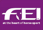 fei_logo.gif